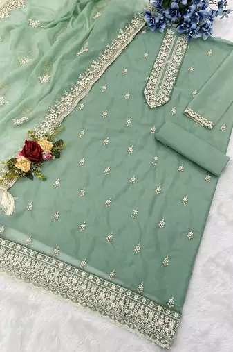 Sea green organza embroidered salwar suit