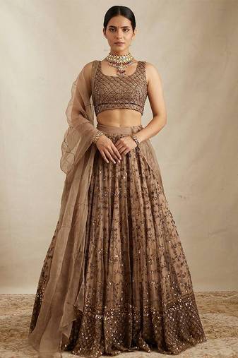 Brown Net Zari Sequin Embroidery Work Lehenga Choli With Dupatta