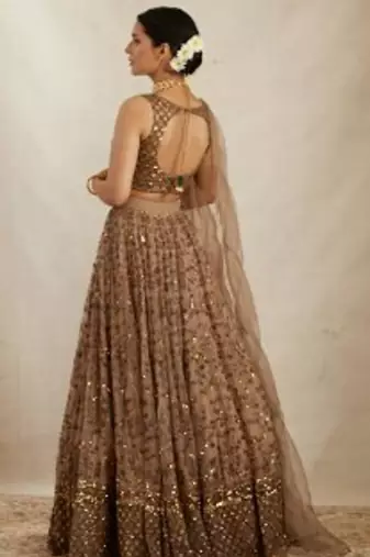 Brown Net Zari Sequin Embroidery Work Lehenga Choli With Dupatta