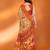 Mannequin store printed saree