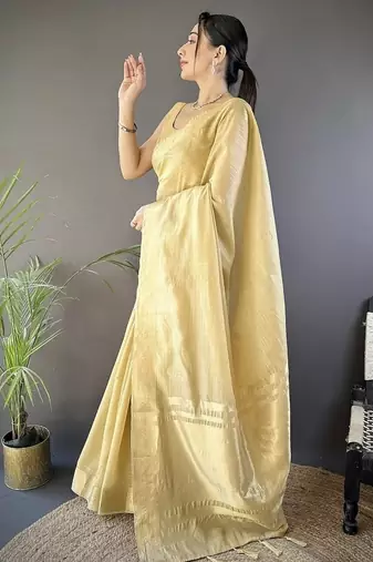 chiku color cotton checks zari border work saree