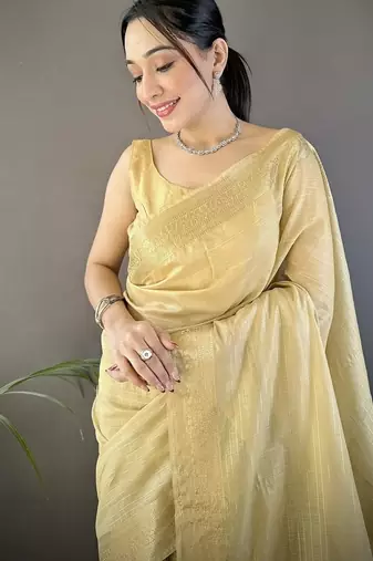 chiku color cotton checks zari border work saree