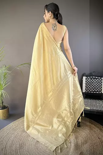 chiku color cotton checks zari border work saree
