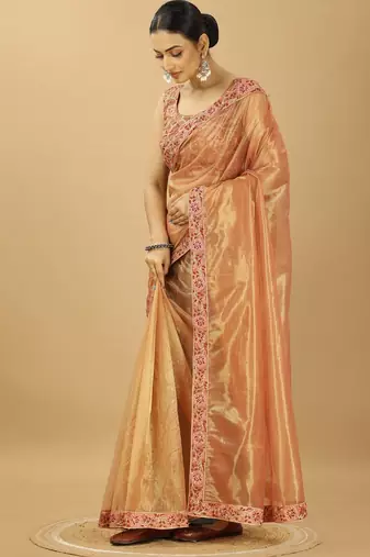 golden fancy net embroidery saree with designer lace border
