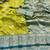 lime banarasi silk blend kanjivaram zari woven saree with rich border