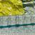 lime banarasi silk blend kanjivaram zari woven saree with rich border