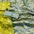 lime banarasi silk blend kanjivaram zari woven saree with rich border