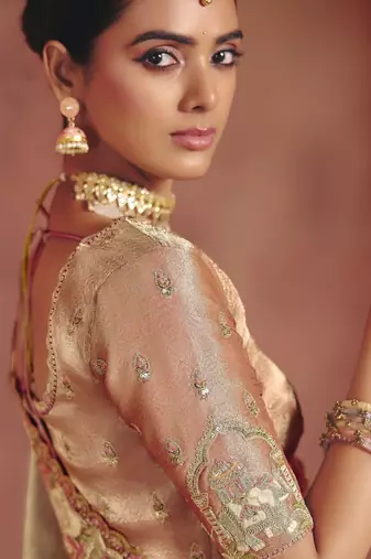 Chiku stunning pure smooth zari silk blend saree with sequins and embroidered blouse
