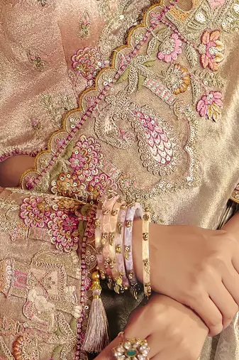 Chiku stunning pure smooth zari silk blend saree with sequins and embroidered blouse