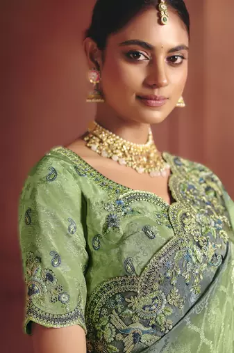 Green elegant zari dola jaquard saree with embroidery and sequins