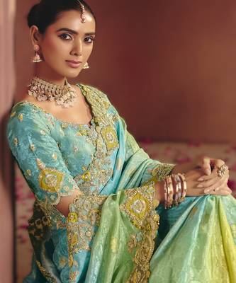 Sky blue sophisticated zari dola jaquard saree with embroidery and sequins 2
