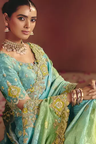 Sky blue sophisticated zari dola jaquard saree with embroidery and sequins
