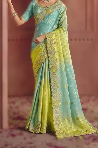 Sky blue sophisticated zari dola jaquard saree with embroidery and sequins