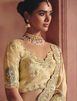 Grey regal zari dola jaquard saree with intricate embroidery and sequins 2