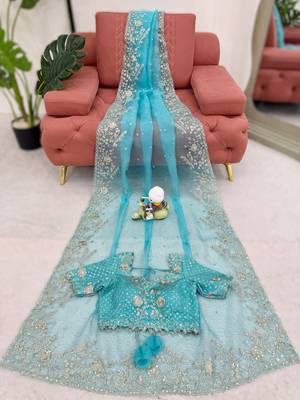 Sky blue organza silk blend saree with thread & sequin embroidery 3