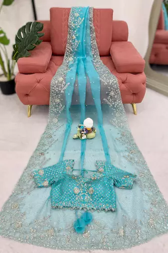 Sky blue organza silk blend saree with thread & sequin embroidery