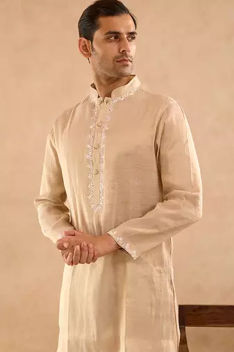 Beige embroidered tissue kurta