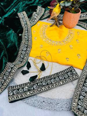 Green Velvet Sequins and Jari Dori Embroidered Lace Border with Sequins Butti work Saree 5