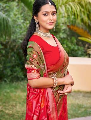 brown silk saree with blouse piece 2