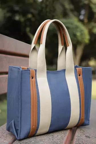 Anekaant sutra soil navy blue canvas colorblocked handheld bag