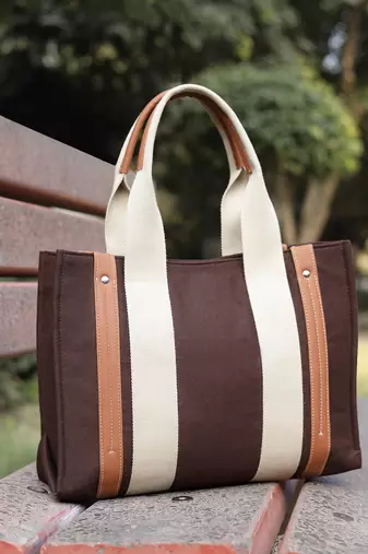 Anekaant sutra soil coffee brown canvas colorblocked handheld bag