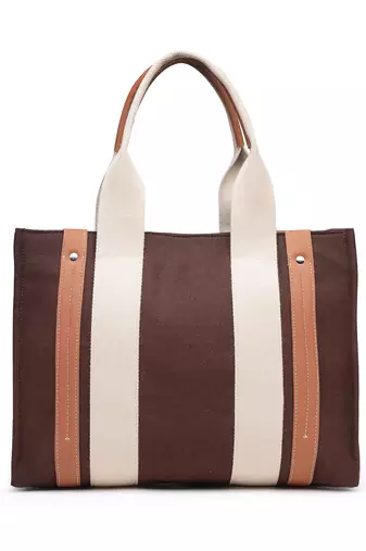 Anekaant sutra soil coffee brown canvas colorblocked handheld bag
