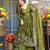 Mahendi green crunchy silk   party wear embroidery  suit set