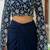 Blue Georgette embroidered top and skirt