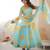 Sky Color Soft Organza Silk Digital Printed Party Wear Gown