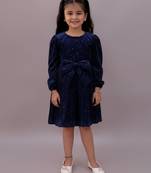 Blue printed velvet dress