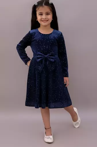 Blue printed velvet dress