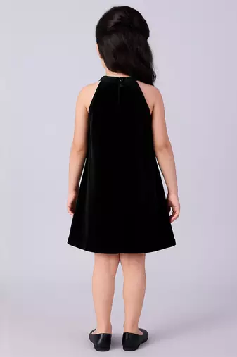 Blue embroidered velvet dress