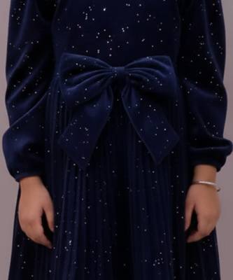 Blue printed velvet dress 4
