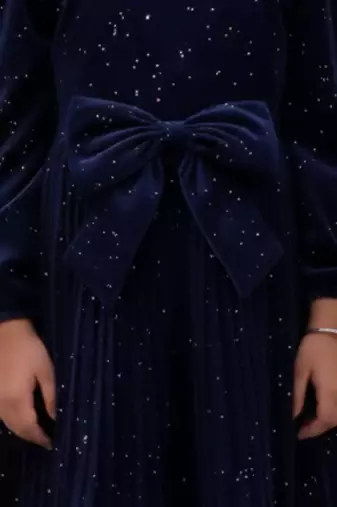 Blue printed velvet dress