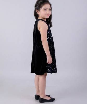 Blue embroidered velvet dress 3