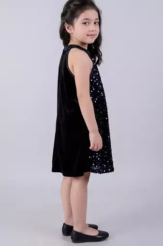 Blue embroidered velvet dress