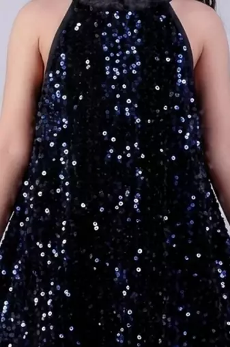 Blue embroidered velvet dress