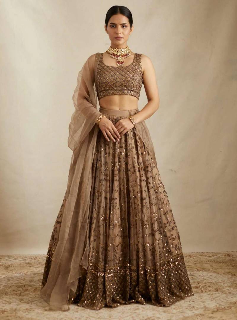 BROWN EMBROIDERY NET STUNNING LEHENGA CHOLI WITH DUPATTA