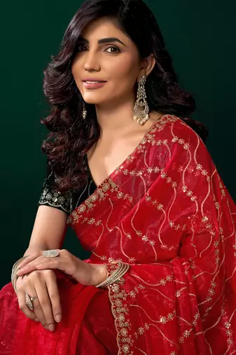Red net jaal pattern sequence embroidery thread work party wear saree