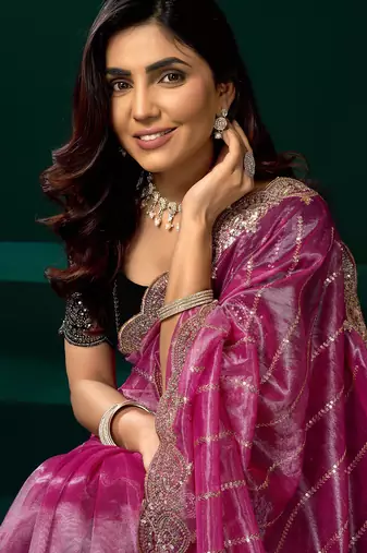 Pink net shimmering lines sequence embroidery party wear saree