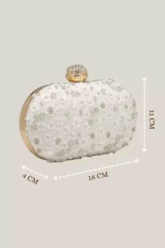 Anekaant glided gleam ivory net floral embellished clutch
