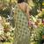 Women olive green & black checkered linen blend saree with floral pallu