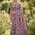 Women mauve & black checkered linen blend saree with floral pallu