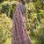 Women mauve & black checkered linen blend saree with floral pallu
