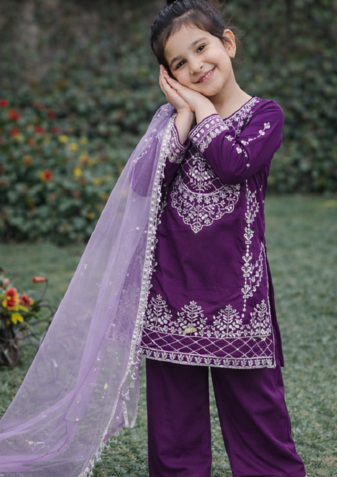 Natural Pure Heavy Creap Silk Embroidery Work Purple Readymade Salwar Suit