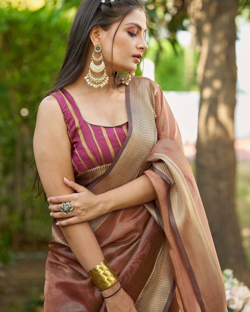 Brown plain tissue tissue-sarees saree with blouse