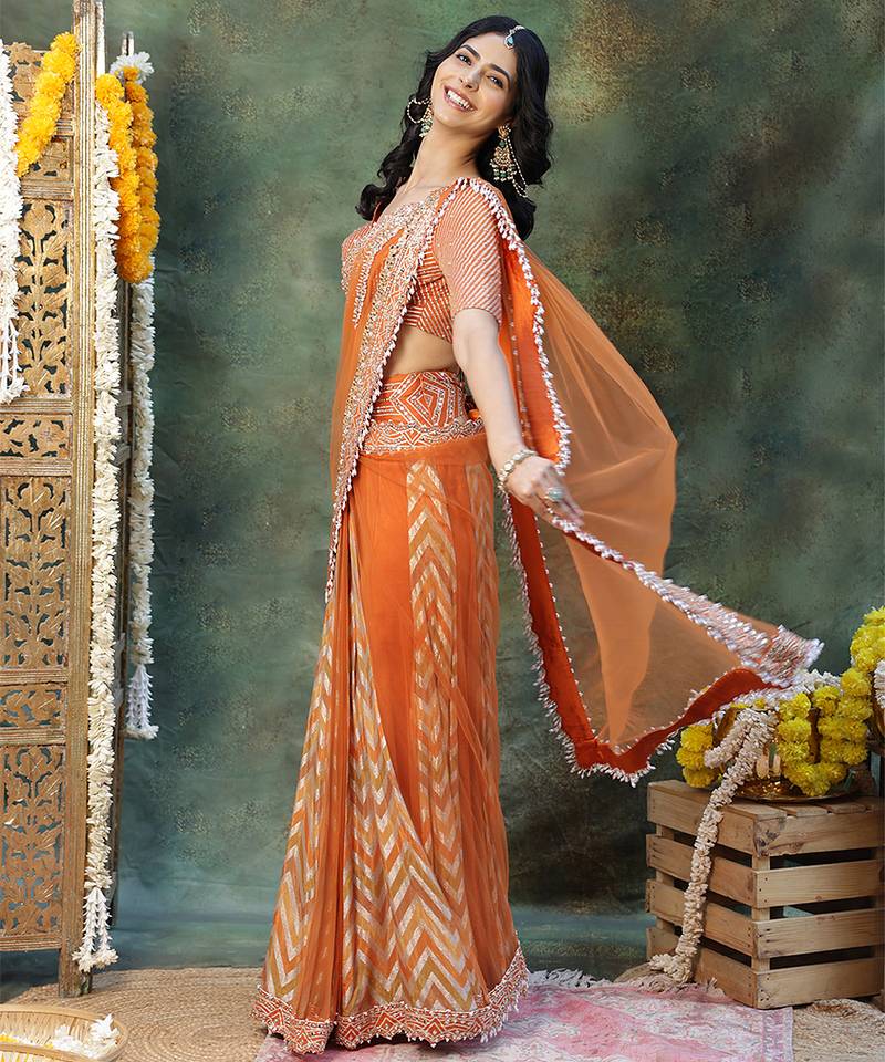 Rust orange embroidered silk saree