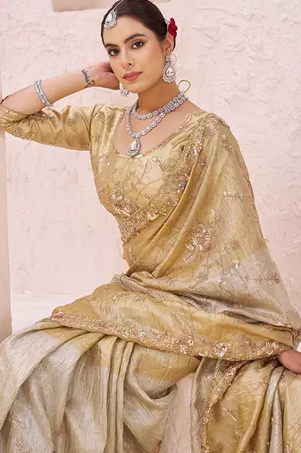 Gold embroidered banarasi saree
