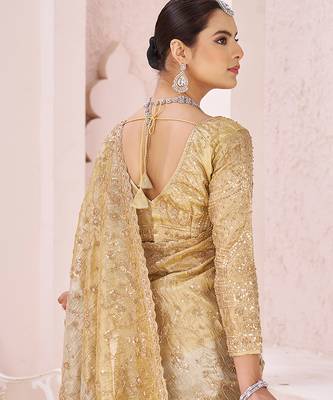 Gold embroidered banarasi saree 2