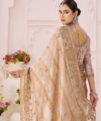 Beige embroidered banarasi saree 2